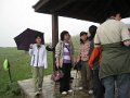 20100307 大帽山郊野公園行山